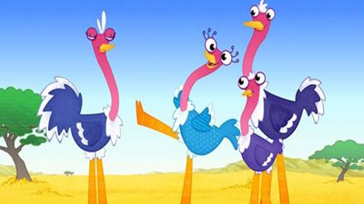 鸵鸟先生和鸵鸟太太