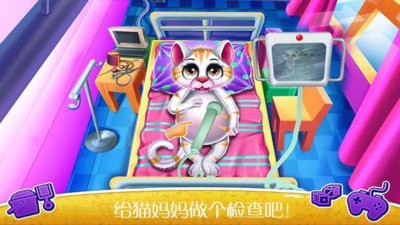 怀孕宠物生宝宝