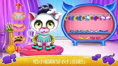 怀孕宠物生宝宝