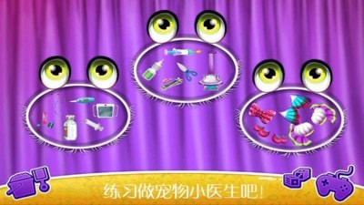 怀孕宠物生宝宝