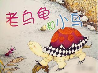 老乌龟和小鸟