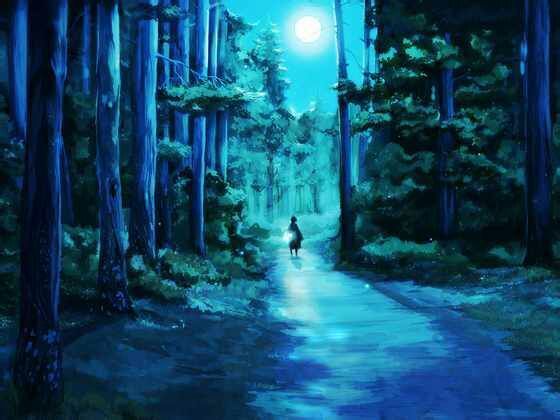 夜晚，在森林里