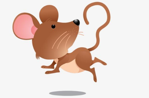 粗心的小老鼠