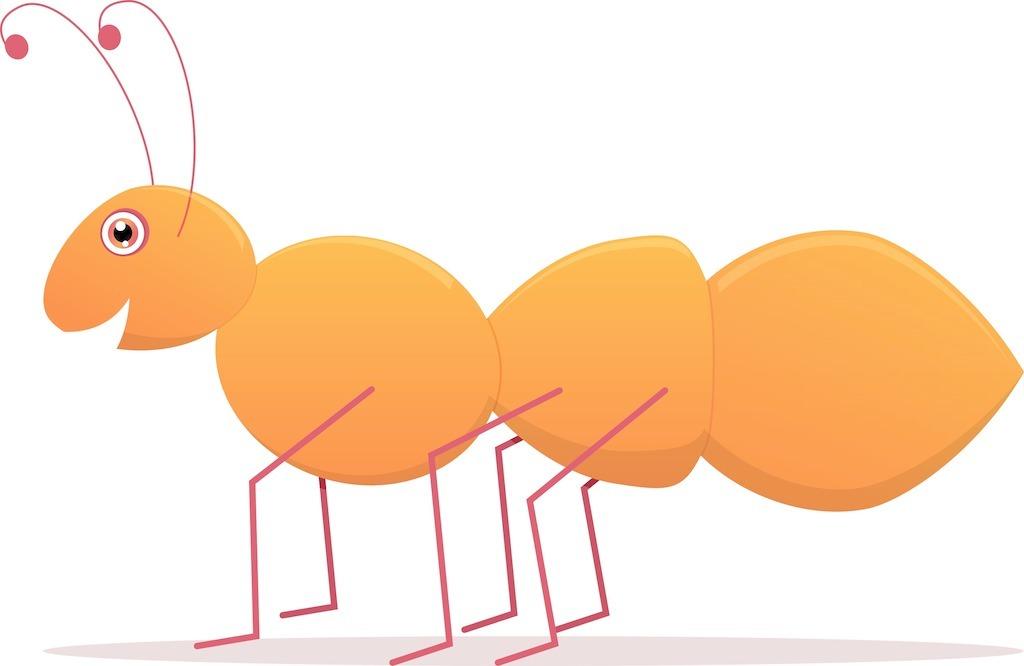 糖果店里的蚂蚁顾问