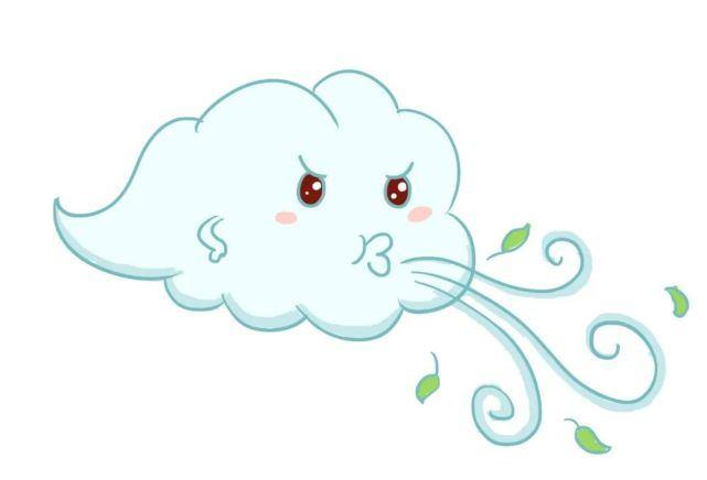 风姐姐，对不起