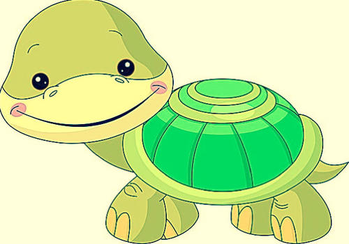 骄傲的小乌龟
