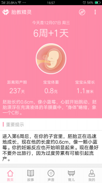 胎教精灵