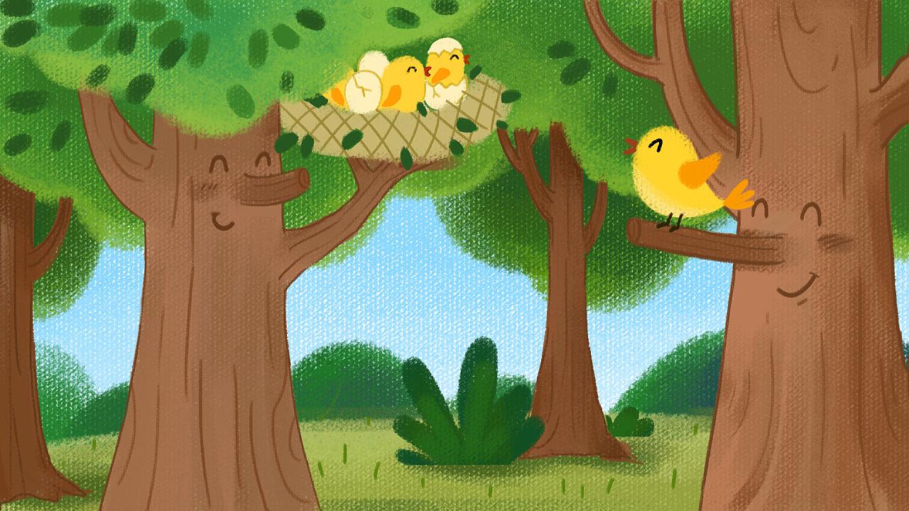 小鸟的家