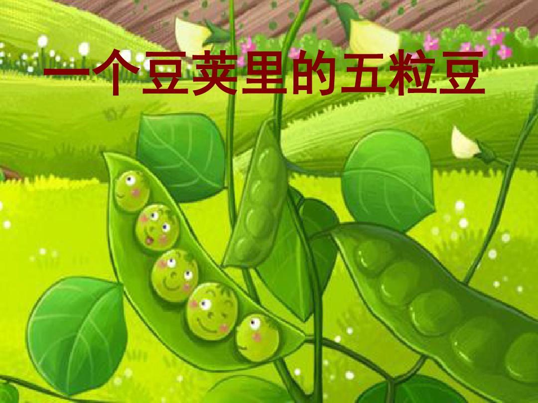 一个豆荚里的五粒豆