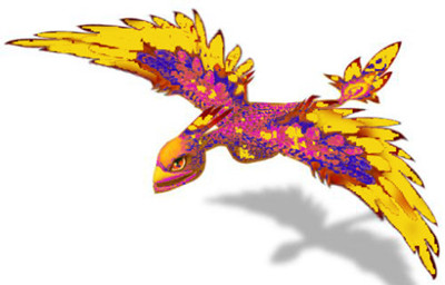 金翅鸟为什么那样美丽