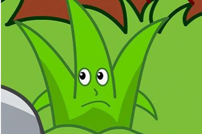 从岩缝里长出来的小草