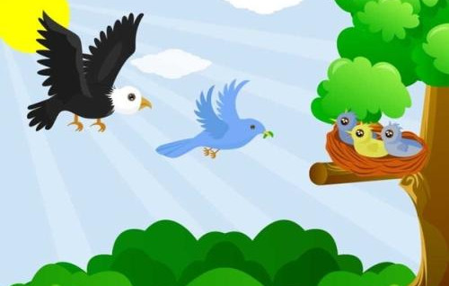 老鹰和小鸟的故事