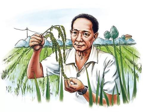 杂交水稻之父袁隆平的故事