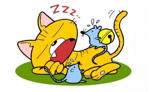 谁去给猫儿挂铃铛