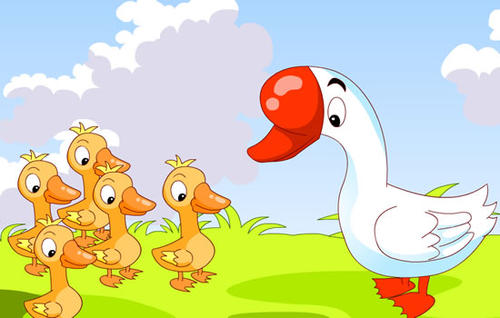 大白鹅和小白鸭