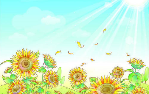 向日葵妹妹和太阳哥哥