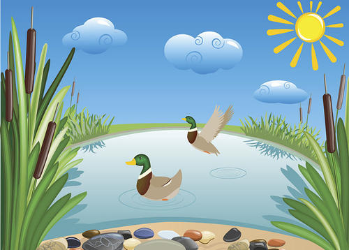 收藏影子的池塘