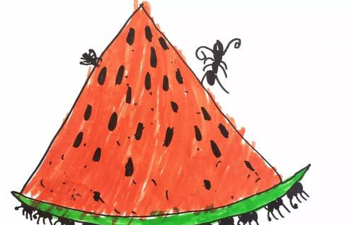 蚂蚁和西瓜的故事
