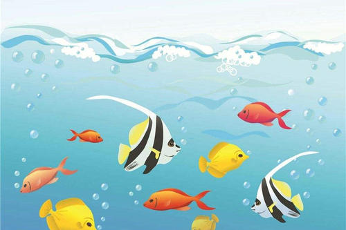 怕痒痒的小鱼儿