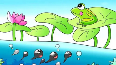 找啊找啊找青蛙