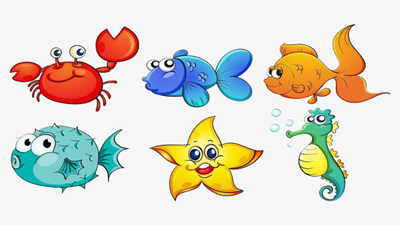 爱在海面跳舞的小海星