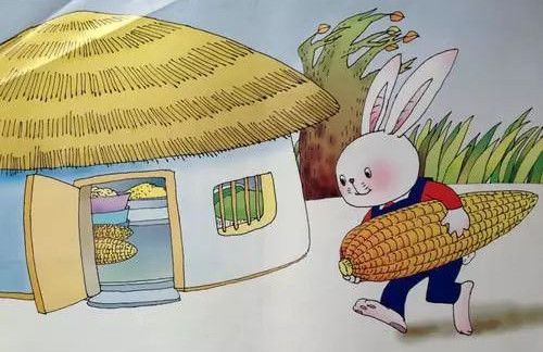 小兔种玉米