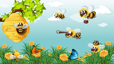 小蜜蜂的疑问