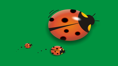 瓢虫夫人的下午茶