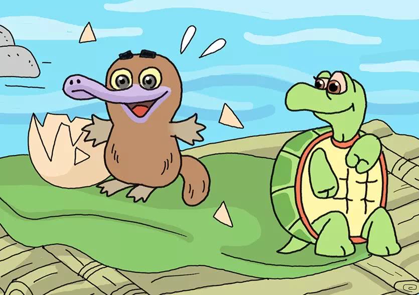 海狸爸爸的骄傲