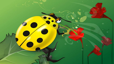 两只甲壳虫(随遇而安)