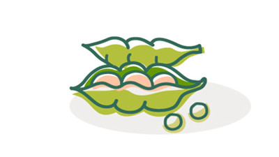 三只翠绿色的豆荚