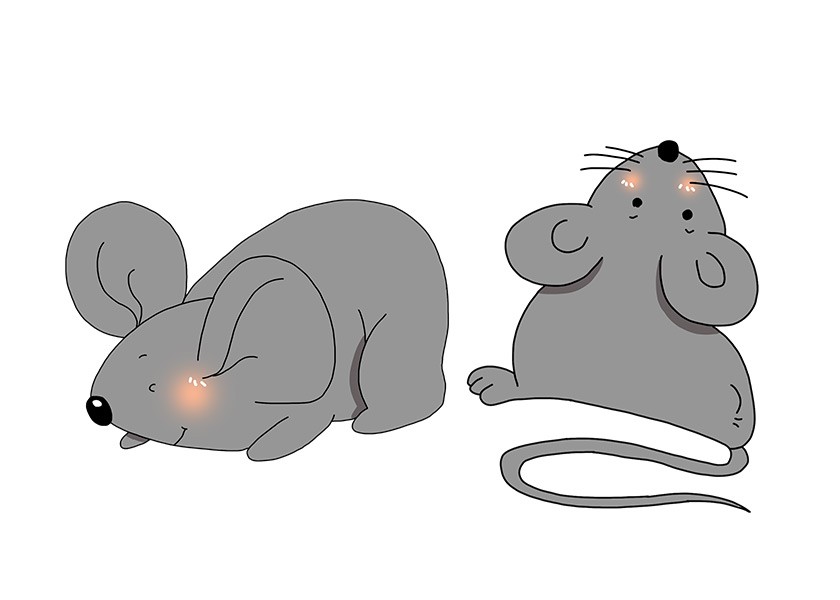 会喷火的小老鼠