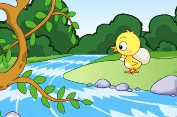 没有尾巴的小鸡