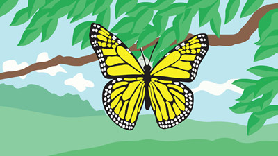 香香的蝴蝶和丑丑的老鼠