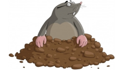 田鼠访问鼹鼠家