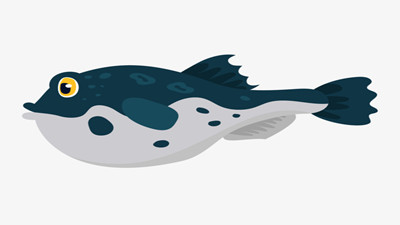 黑鱼有一朵云的心