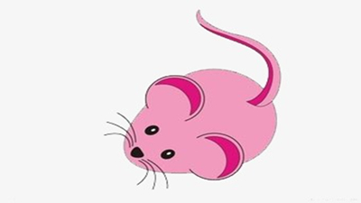 两只老鼠去旅行