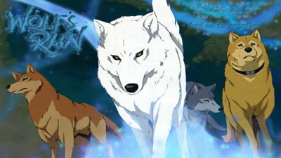 一个大喷嚏吓退了狼