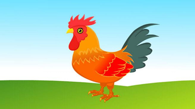 大公鸡很聪明