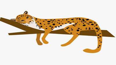 豹先生的奇异本领