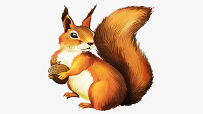 松鼠妹妹不见了