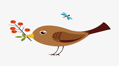 什么都知道的小麻雀