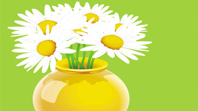 花瓶里的桔子树