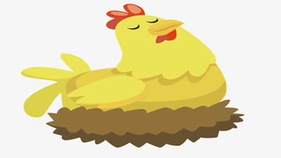 母鸡咯咯哒的心事