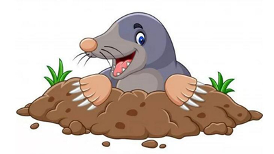 小熊，在夏天里冬眠