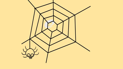 蜘蛛王国的比赛