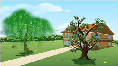 小柳树和小枣树