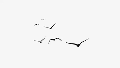 飞越喜马拉雅山的小雁