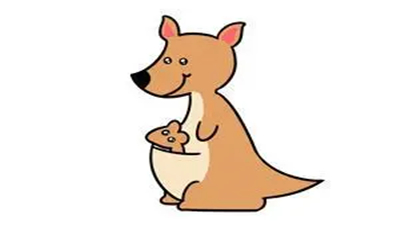 袋鼠妹妹的口袋