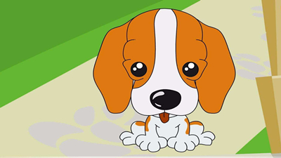 巴哈早上的阳光